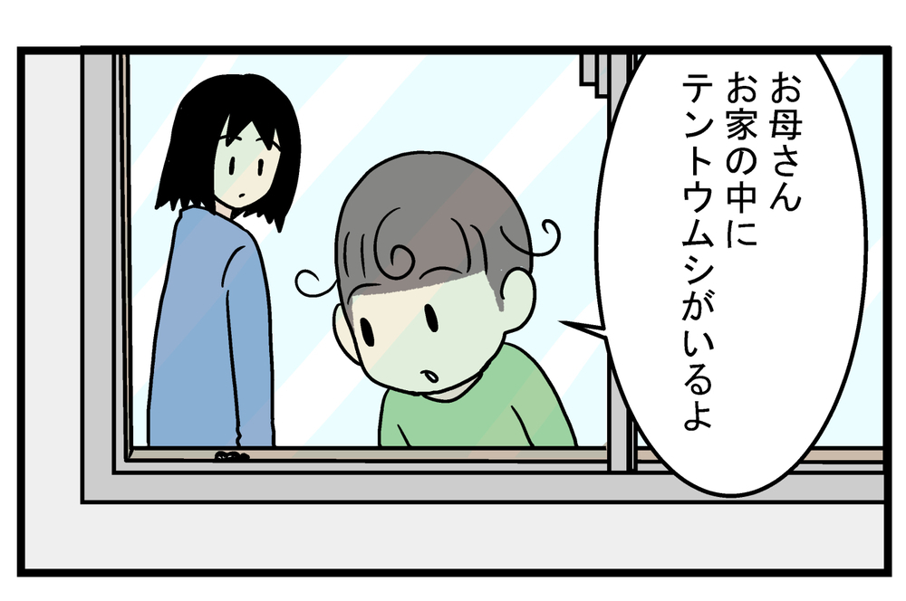 もう冬なのに…家の中に「テントウムシ」が現れた驚きの理由とは!?【こどもと見つけた小さな発見日誌 Vol.34】
