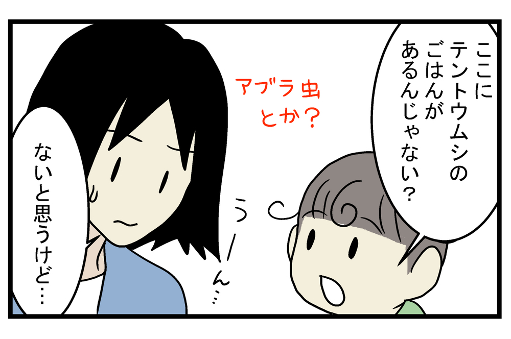 もう冬なのに…家の中に「テントウムシ」が現れた驚きの理由とは!?【こどもと見つけた小さな発見日誌 Vol.34】