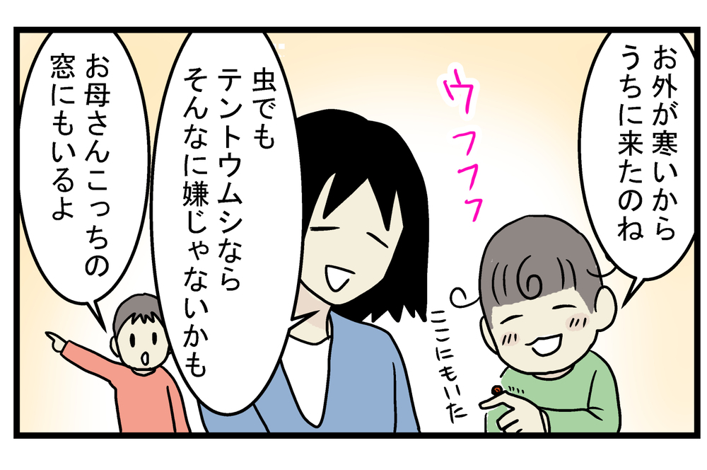 もう冬なのに…家の中に「テントウムシ」が現れた驚きの理由とは!?【こどもと見つけた小さな発見日誌 Vol.34】