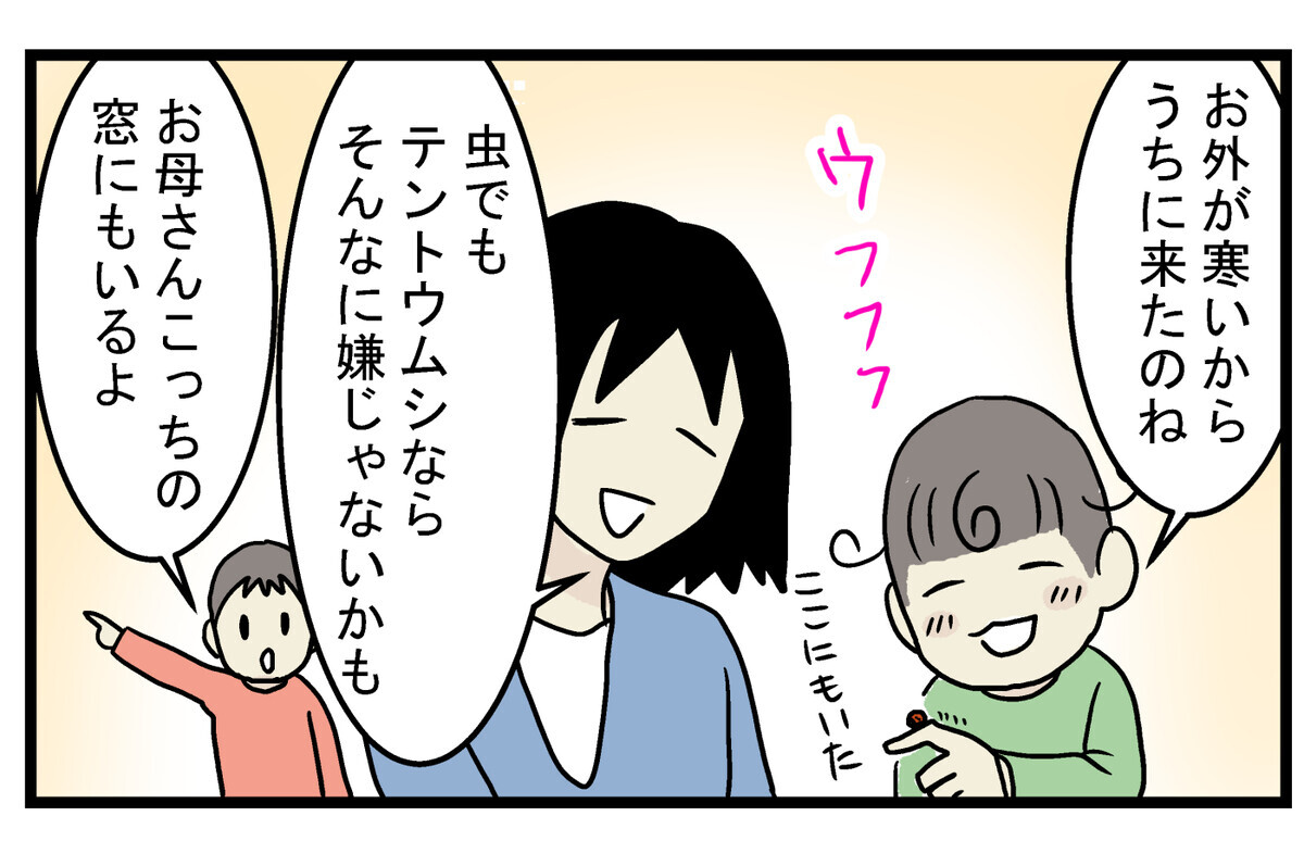 もう冬なのに 家の中に テントウムシ が現れた驚きの理由とは こどもと見つけた小さな発見日誌 Vol 34 ウーマンエキサイト 2 2