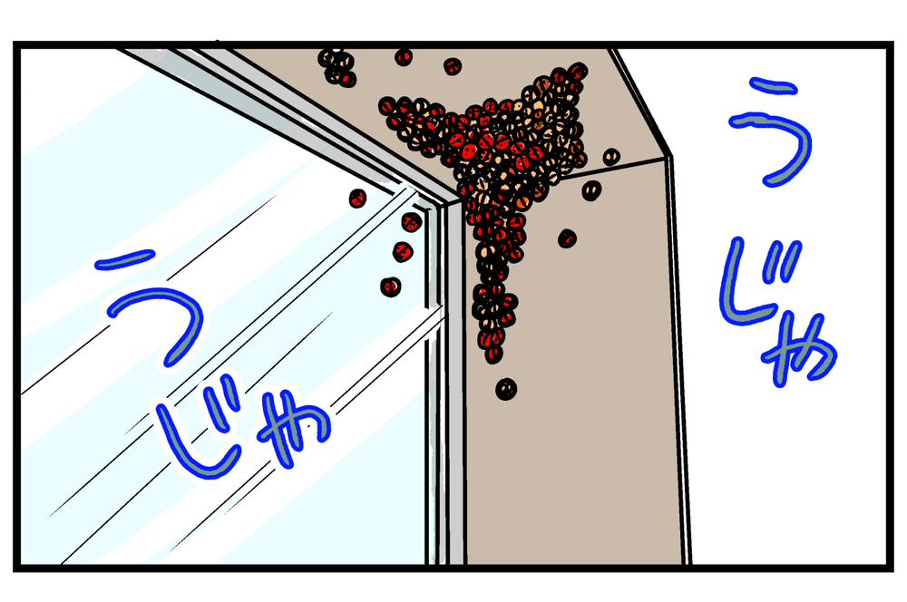 もう冬なのに…家の中に「テントウムシ」が現れた驚きの理由とは!?【こどもと見つけた小さな発見日誌 Vol.34】