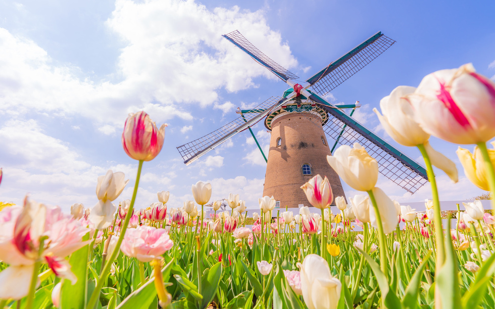 4月5日～4月11日の週間運勢占いランキング！　1位の星座は…？