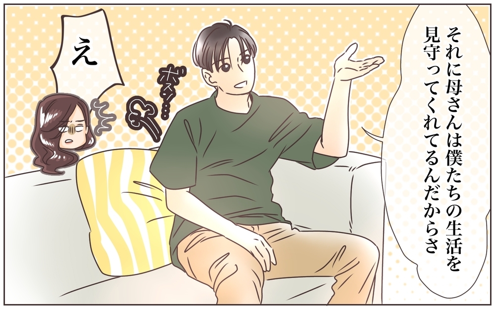 明かされる鳥肌モノの真実…夫の頼りなさが止まらない！／資産家のマザコン夫は伝書鳩（7）【義父母がシンドイんです！ まんが】