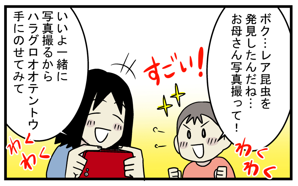 息子がレア昆虫を発見!? 自宅の庭にいた「大きいテントウムシ」の正体【こどもと見つけた小さな発見日誌 Vol.36】