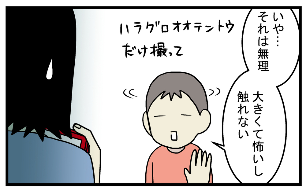 息子がレア昆虫を発見!? 自宅の庭にいた「大きいテントウムシ」の正体【こどもと見つけた小さな発見日誌 Vol.36】