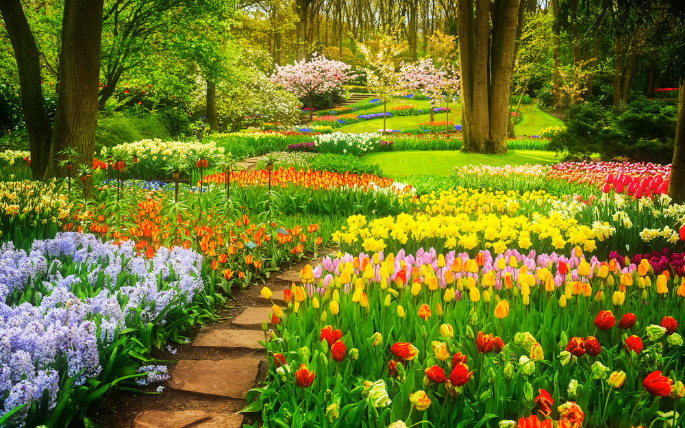 5月3日～5月9日の週間運勢占いランキング！　1位の星座は…？