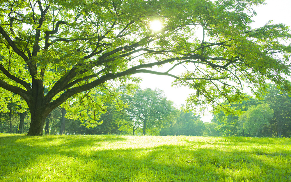 5月17日～5月23日の週間運勢占いランキング！　1位の星座は…？