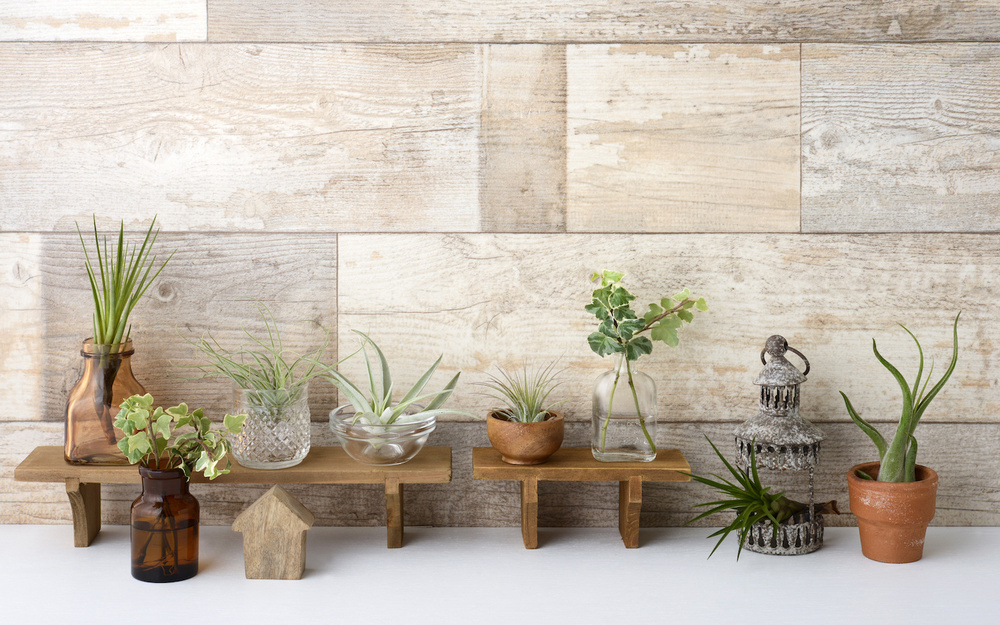 5月24日～5月30日の週間運勢占いランキング！　1位の星座は…？