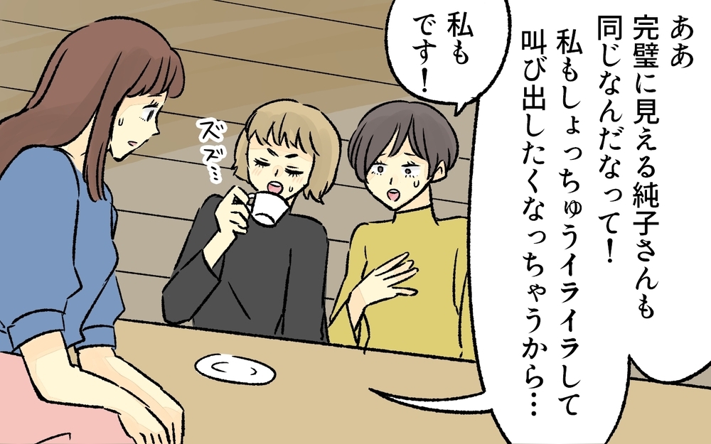 完璧なママなんていない！素敵なママ友たちにもヒミツがあった／完璧主義なママ（4）【私のママ友付き合い事情 まんが】