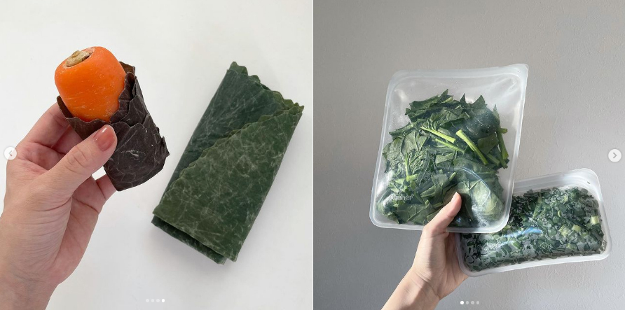 便利でかわいい「脱プラ」アイテム4選！ サスティナブルな暮らしを始めよう