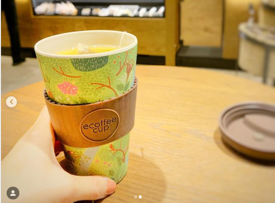 便利でかわいい「脱プラ」アイテム4選！ サスティナブルな暮らしを始めよう