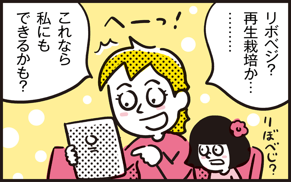 【写真付き】ママンの密かな楽しみ！　再生栽培で手軽にできる家庭菜園【パパン奮闘記 ～娘が嫁にいくまでは～ 第106話】