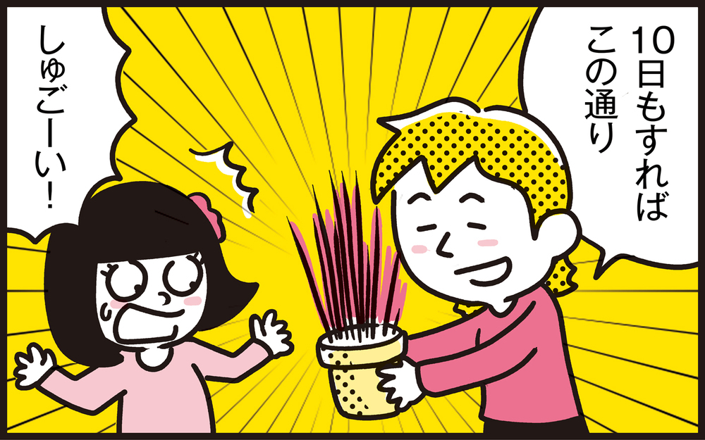 【写真付き】ママンの密かな楽しみ！　再生栽培で手軽にできる家庭菜園【パパン奮闘記 ～娘が嫁にいくまでは～ 第106話】