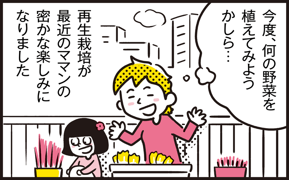 【写真付き】ママンの密かな楽しみ！　再生栽培で手軽にできる家庭菜園【パパン奮闘記 ～娘が嫁にいくまでは～ 第106話】