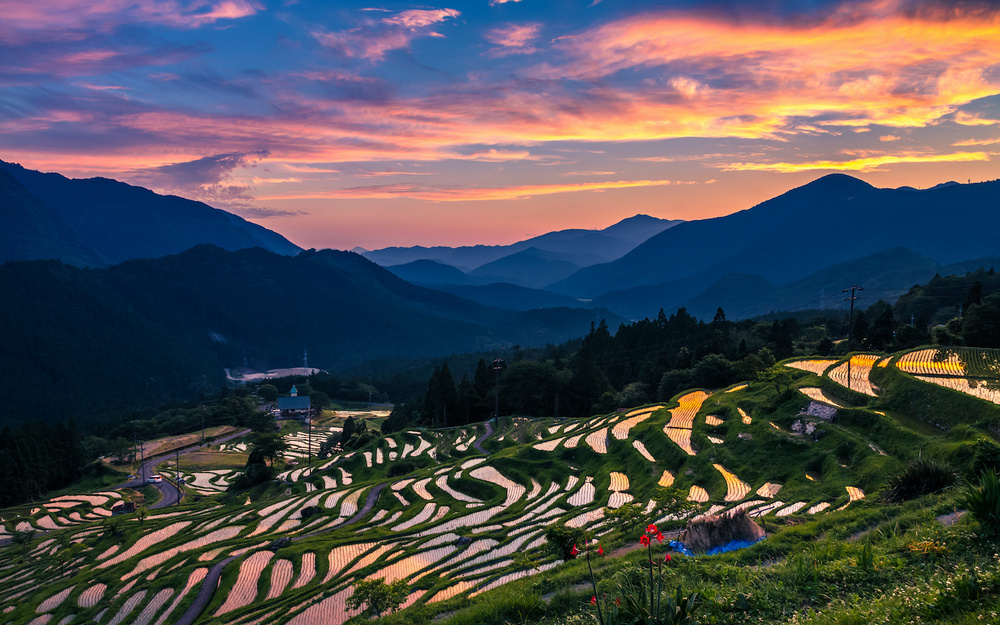 6月21日～6月17日の週間運勢占いランキング！　1位の星座は…？