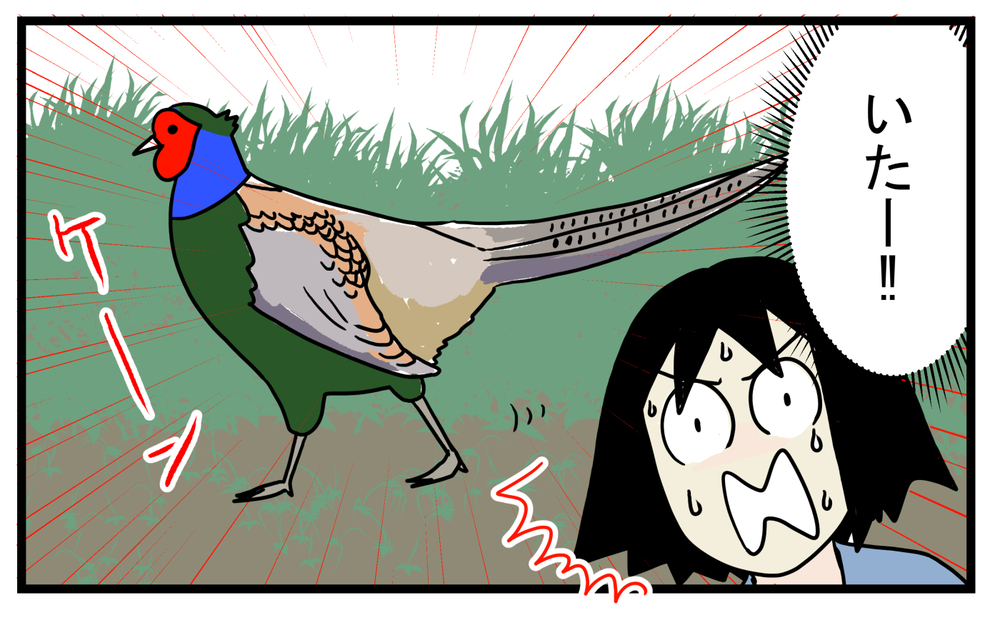 長男が双眼鏡を購入してさっそく発見…！ 意外と身近にいた「あの鳥」【こどもと見つけた小さな発見日誌 Vol.37】