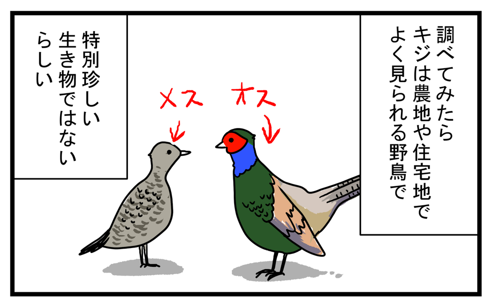長男が双眼鏡を購入してさっそく発見…！ 意外と身近にいた「あの鳥」【こどもと見つけた小さな発見日誌 Vol.37】