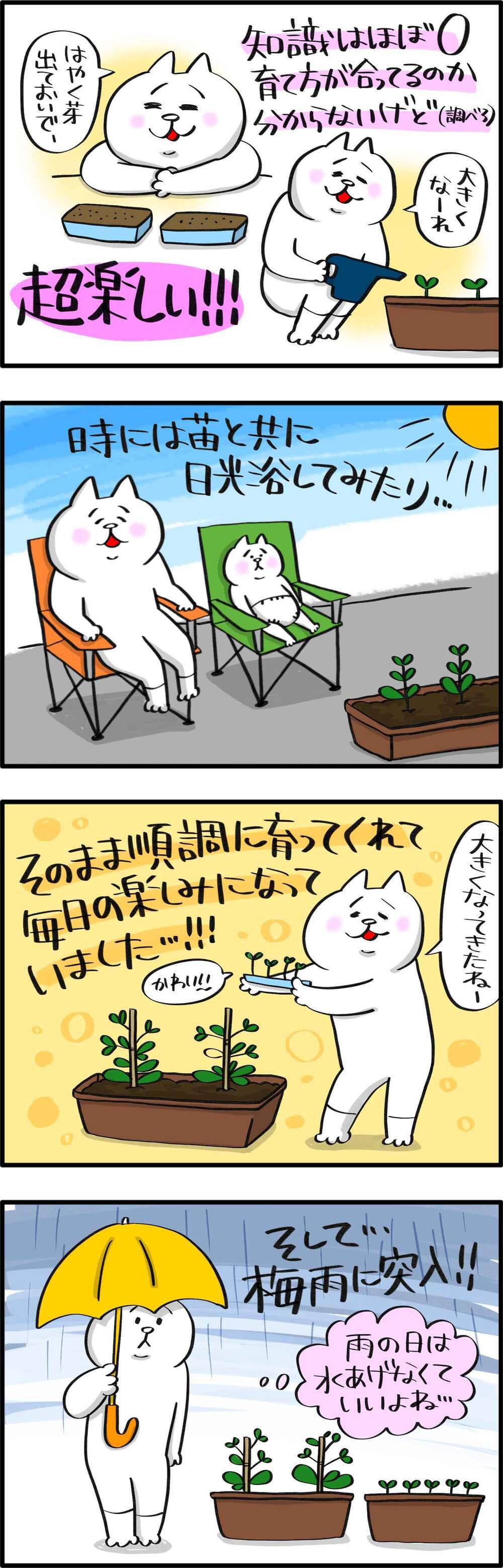 節約できるかな？　家庭菜園にレッツチャレンジ【PUKUTY(プクティ)只今育児奮闘中！ 第52話】