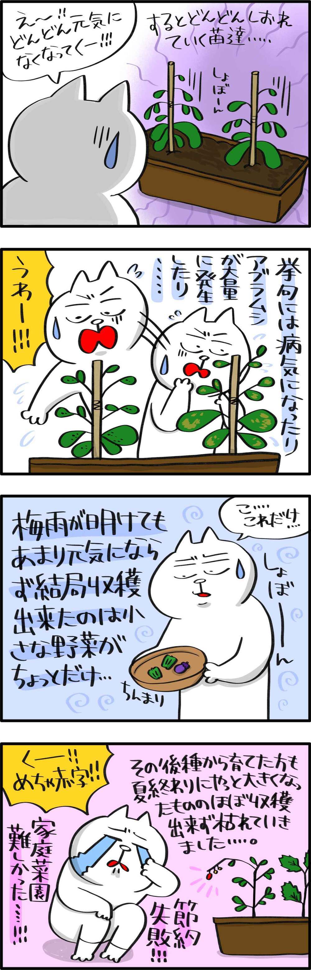 節約できるかな？　家庭菜園にレッツチャレンジ【PUKUTY(プクティ)只今育児奮闘中！ 第52話】