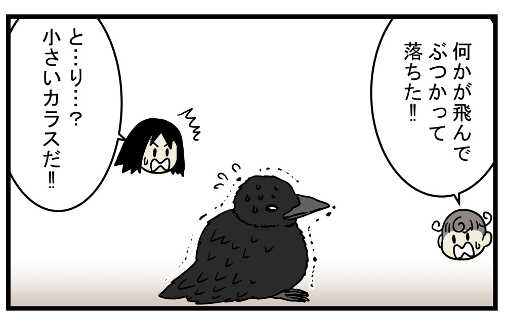 苦労してこそ成長することもある…木の上から飛んできた「不器用な生き物」【こどもと見つけた小さな発見日誌 Vol.38】