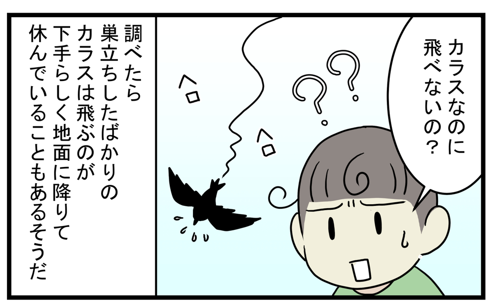苦労してこそ成長することもある…木の上から飛んできた「不器用な生き物」【こどもと見つけた小さな発見日誌 Vol.38】