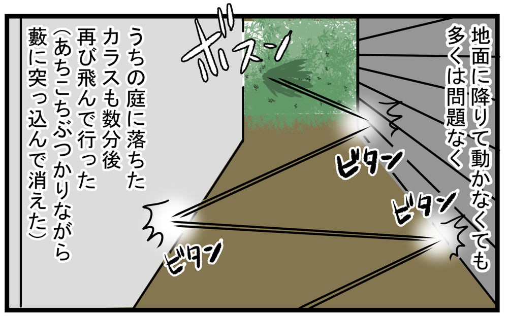 苦労してこそ成長することもある…木の上から飛んできた「不器用な生き物」【こどもと見つけた小さな発見日誌 Vol.38】