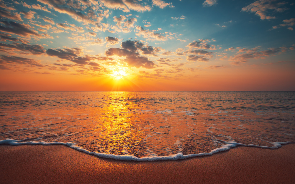 8月23日～8月29日の週間運勢占いランキング！　1位の星座は…？