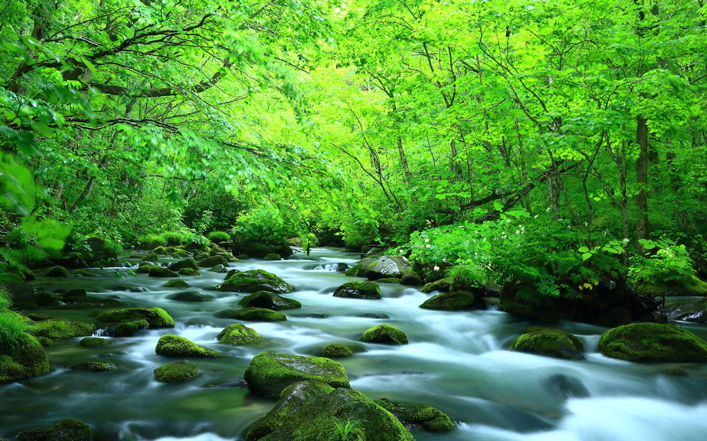 8月30日～9月5日の週間運勢占いランキング！　1位の星座は…？