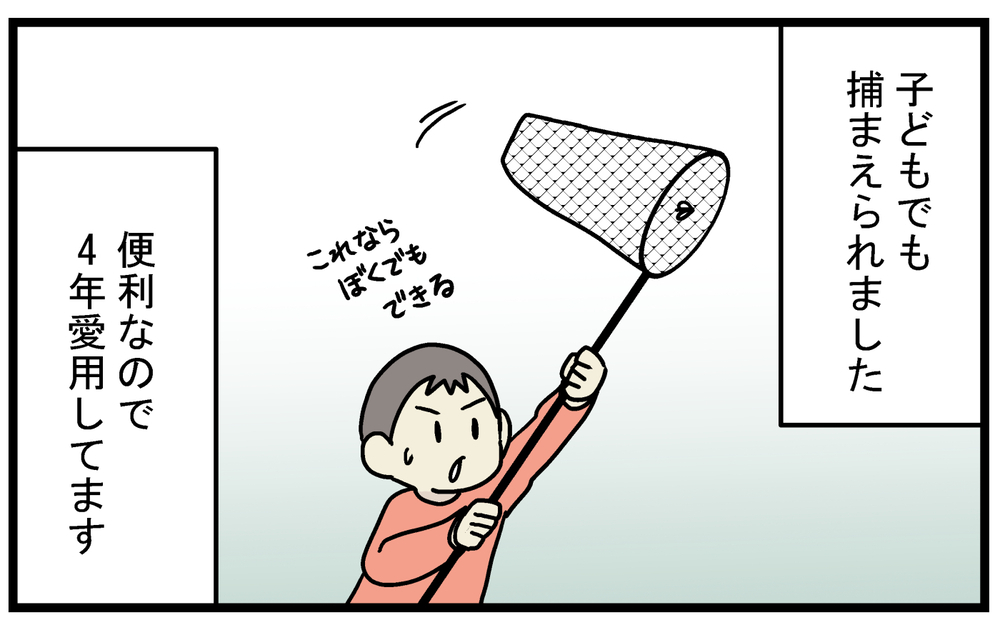 虫が苦手な人に朗報…！ 家の中で簡単かつ安全に「害虫」を捕まえる方法【こどもと見つけた小さな発見日誌 Vol.39】