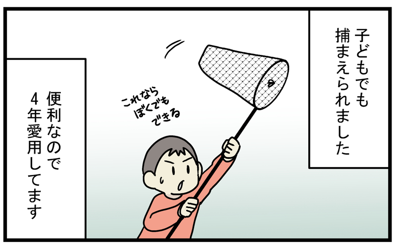 虫が苦手な人に朗報…！ 家の中で簡単かつ安全に「害虫」を捕まえる方法【こどもと見つけた小さな発見日誌 Vol.39】