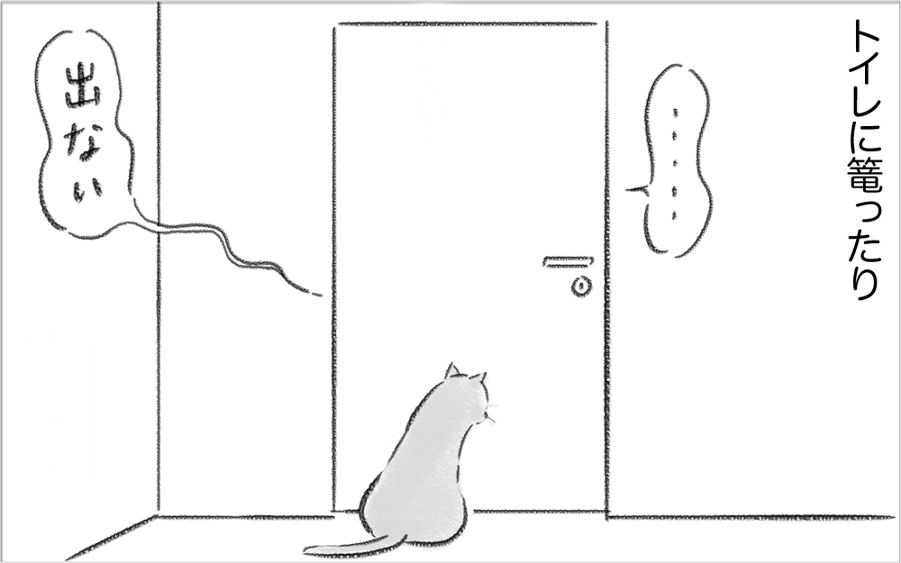 夫の好みに合わせていたら体重激増…！ 健康のために日本食を作り始めるもスイス人夫は…【スイス人夫VS日本人妻　〜家族の偏食、どう乗り切る？〜 Vol.3】