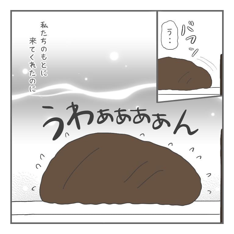 もう赤ちゃんはいない…守れなかった自分を責めてしまう【大事な我が子を産むまで Vol.10】