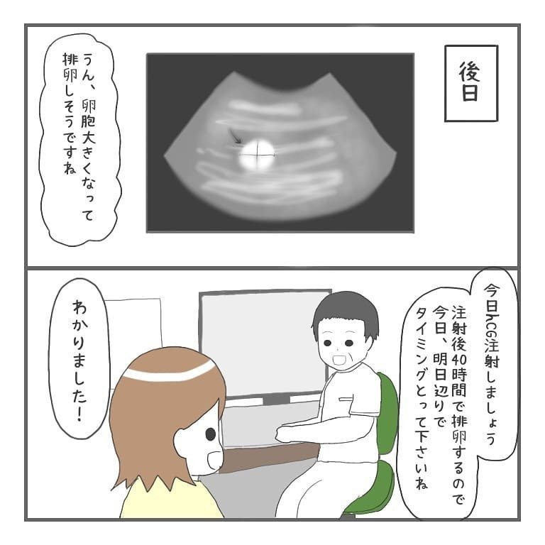 これは無排卵月経…？ 新しく始めた治療の効果は…【大事な我が子を産むまで Vol.15】