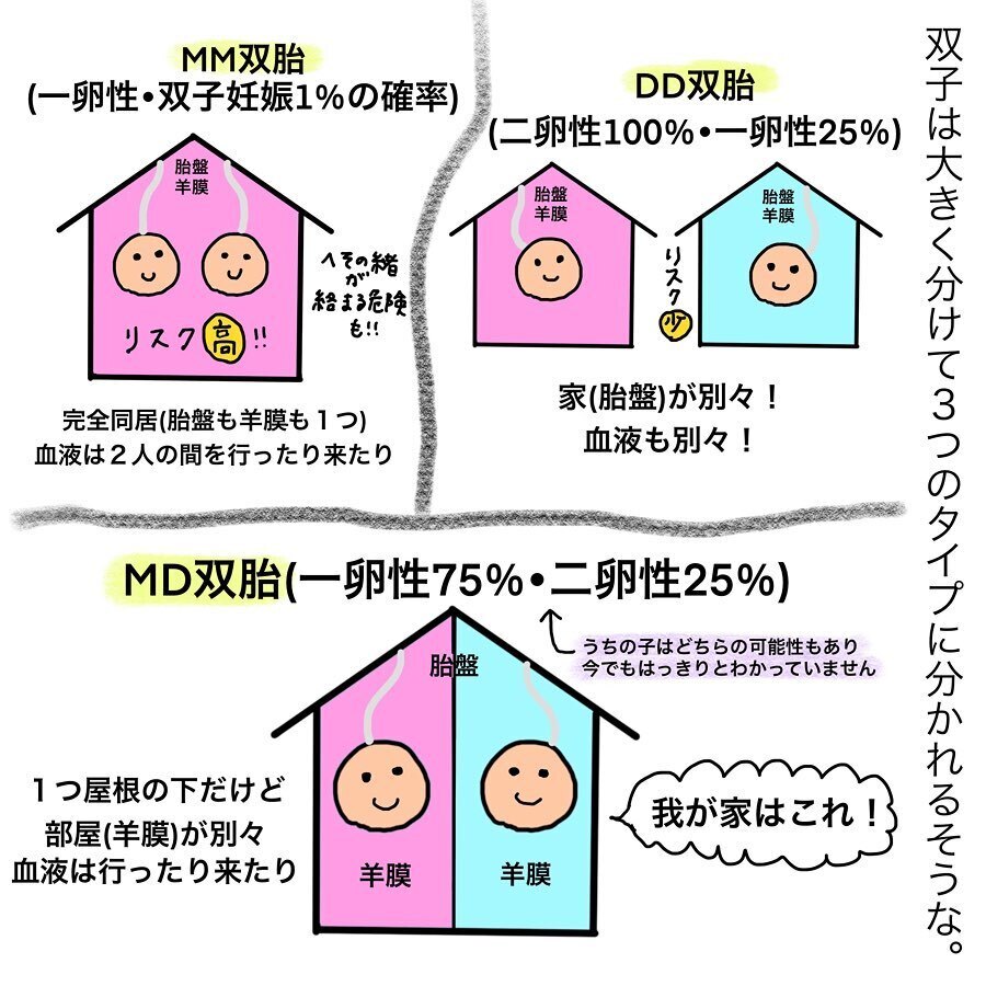 突然の双子妊娠に動揺!? 多胎妊娠のリスクを知り不安に…【双子妊娠出産レポ Vol.1】