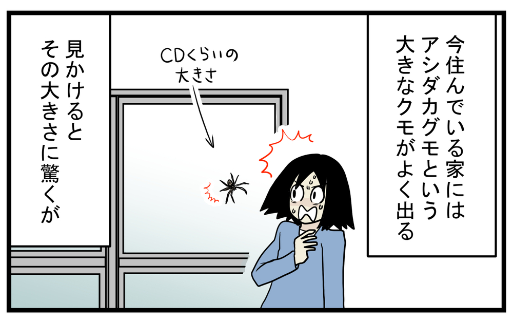 まさかの事実が発覚！ 家の中でクモが運んでいた「小さなタブレット」の正体【こどもと見つけた小さな発見日誌 Vol.40】