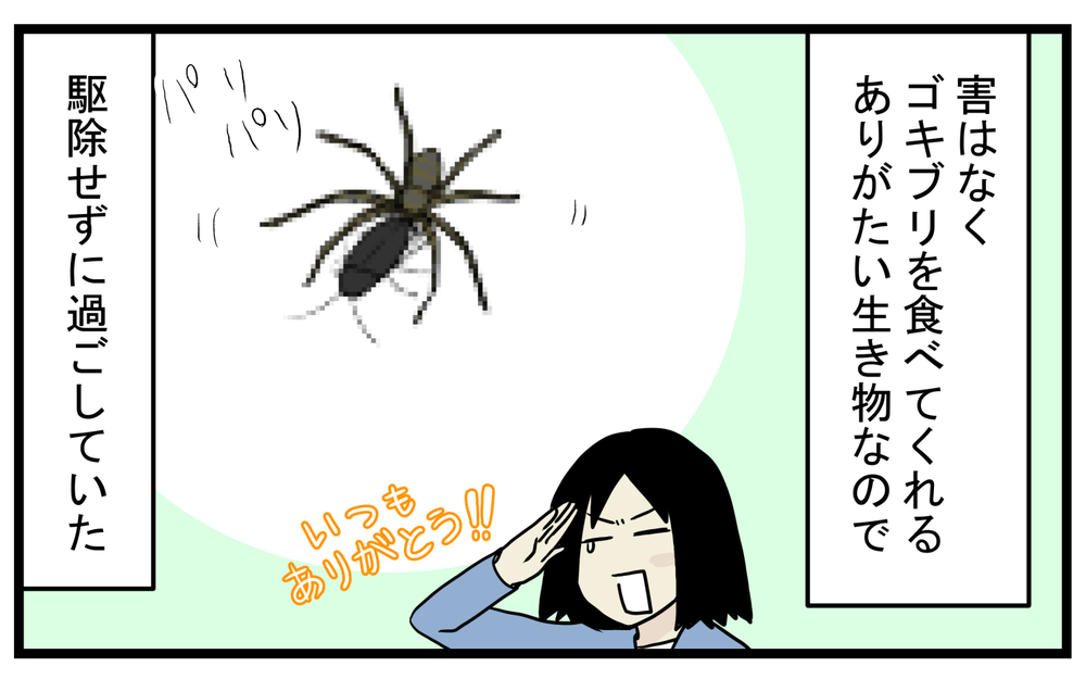 まさかの事実が発覚！ 家の中でクモが運んでいた「小さなタブレット」の正体【こどもと見つけた小さな発見日誌 Vol.40】