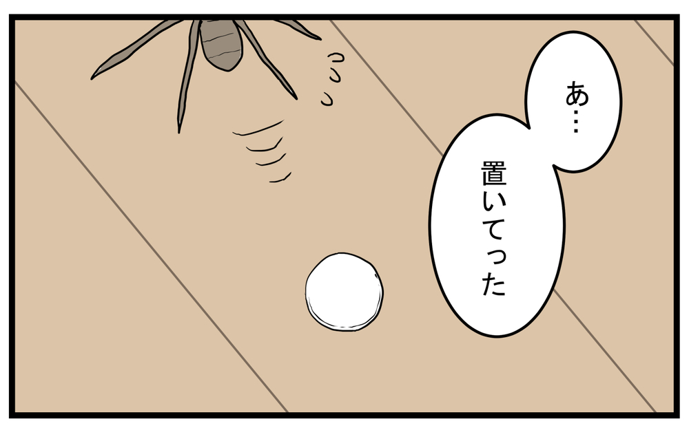 まさかの事実が発覚！ 家の中でクモが運んでいた「小さなタブレット」の正体【こどもと見つけた小さな発見日誌 Vol.40】