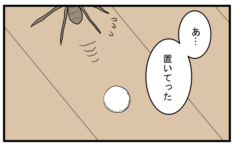 まさかの事実が発覚！ 家の中でクモが運んでいた「小さなタブレット」の正体【こどもと見つけた小さな発見日誌 Vol.40】