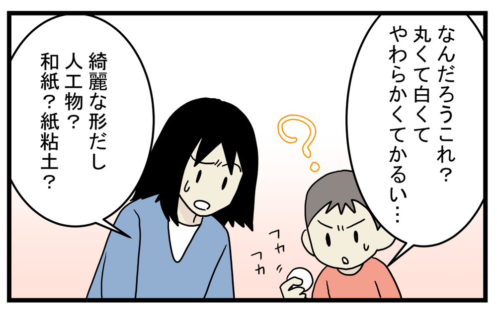 まさかの事実が発覚！ 家の中でクモが運んでいた「小さなタブレット」の正体【こどもと見つけた小さな発見日誌 Vol.40】