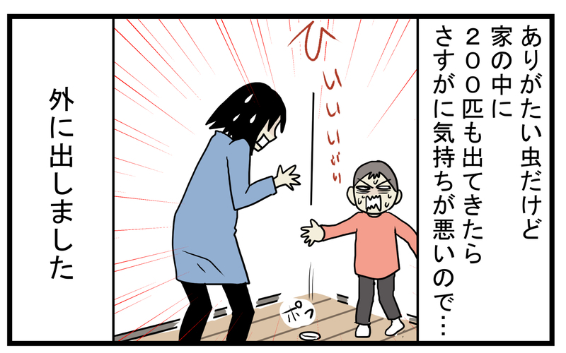 まさかの事実が発覚！ 家の中でクモが運んでいた「小さなタブレット」の正体【こどもと見つけた小さな発見日誌 Vol.40】