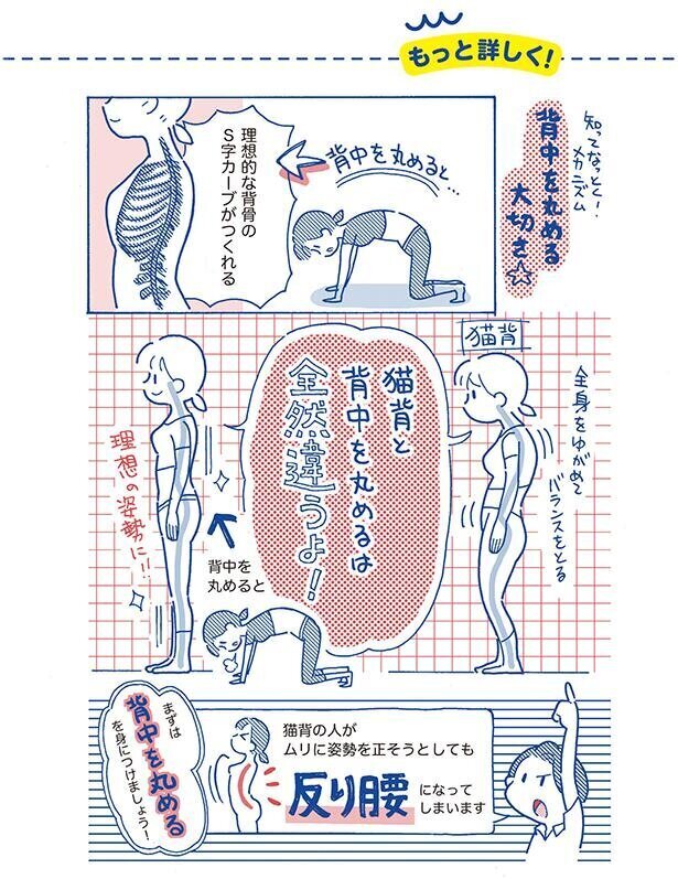 背中をまるめて、理想的な背骨のカーブを作る！【筋トレざせつ女子が行き着いた　1分やせストレッチ Vol.4】