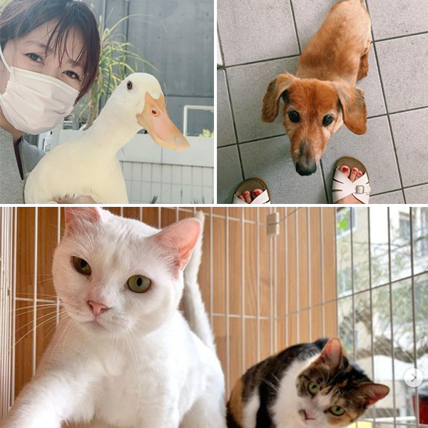 子どもと一緒に楽しみながら動物愛護を学べる「いぬねこなかまフェス」を開催！　～坂本美雨さんインタビュー