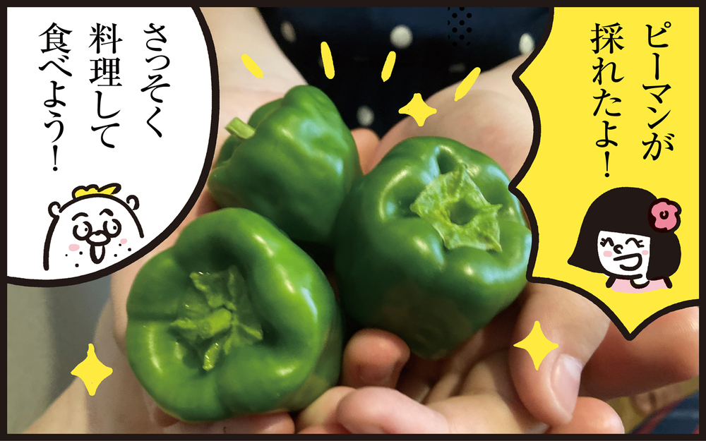 自分で育てた野菜は美味しいはず！　子どもの食わず嫌いを克服させよう大作戦【パパン奮闘記 ～娘が嫁にいくまでは～ 第110話】