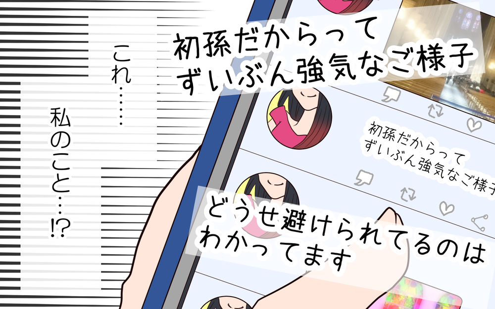 これ私のこと…？ SNSで負の感情を撒き散らす義姉／困った義姉（8）【義父母がシンドイんです！ まんが】