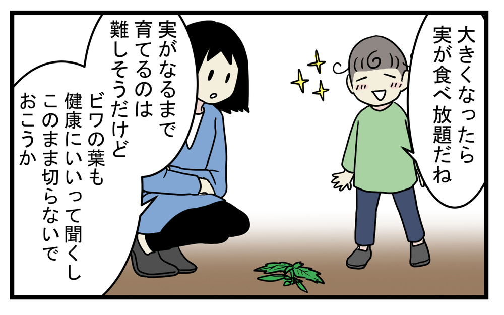 期待に胸を膨らます次男だったが…気になってしまった「びわの木」の怖い迷信【こどもと見つけた小さな発見日誌 Vol.41】