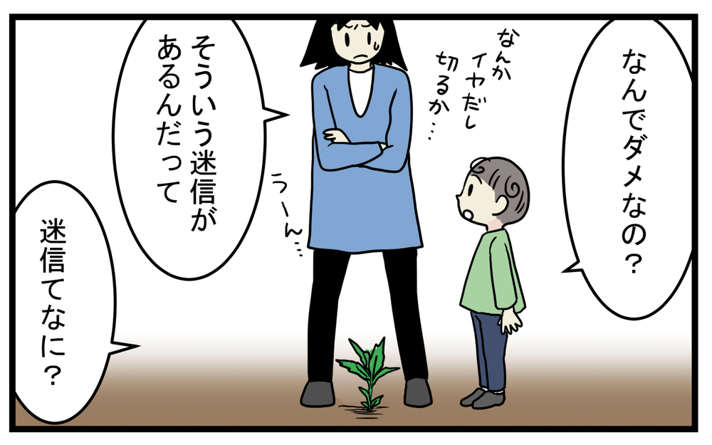 期待に胸を膨らます次男だったが…気になってしまった「びわの木」の怖い迷信【こどもと見つけた小さな発見日誌 Vol.41】