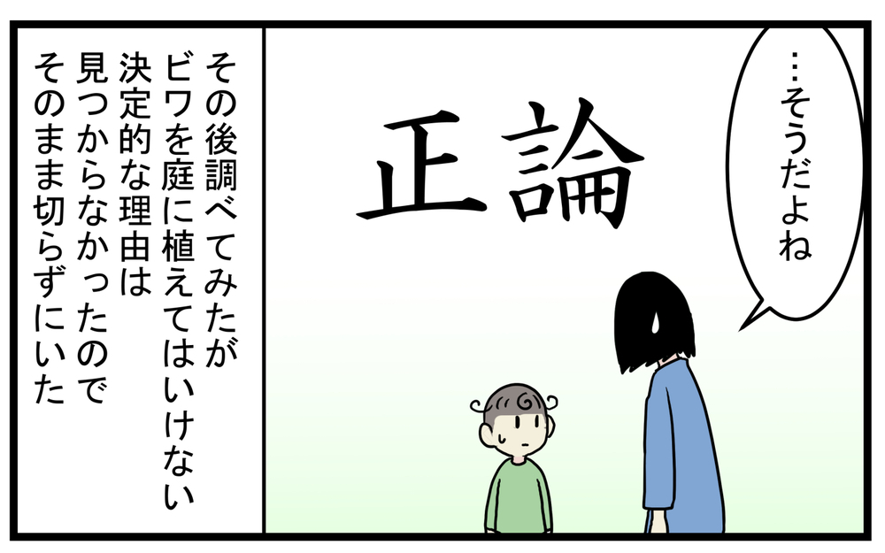 期待に胸を膨らます次男だったが…気になってしまった「びわの木」の怖い迷信【こどもと見つけた小さな発見日誌 Vol.41】