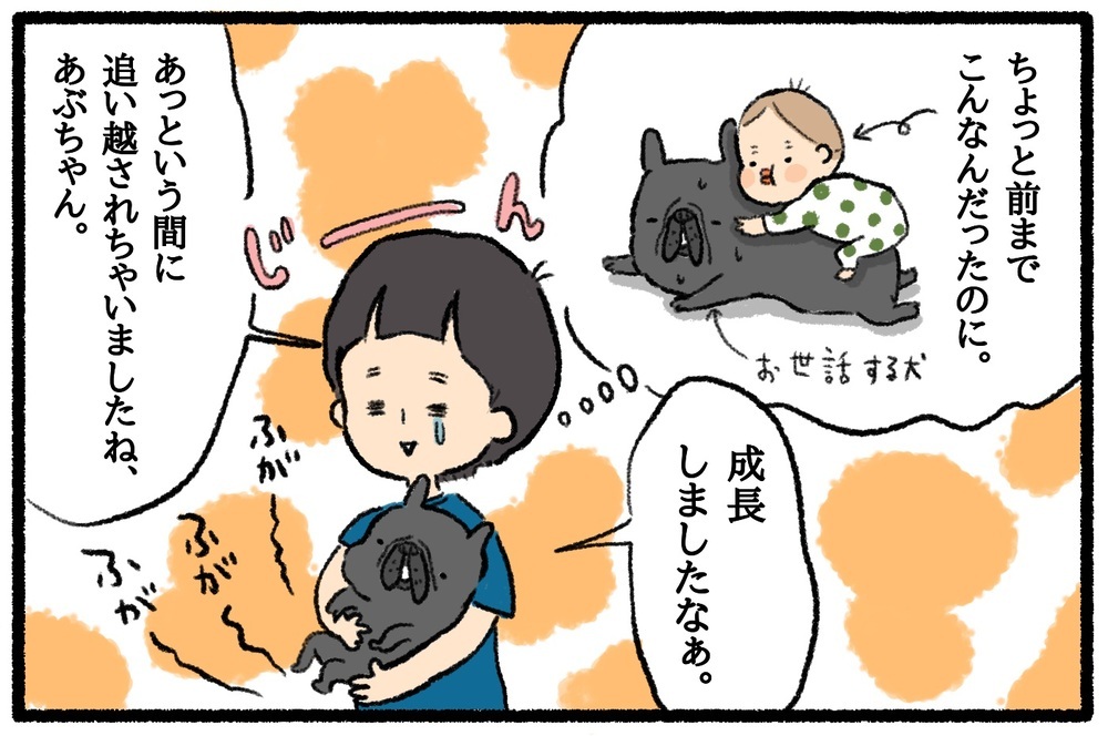 成長を感じるわが子の姿！　愛犬に「お世話される側」から「お世話する側」へ【うちはモフモフ暮らし  第37話】
