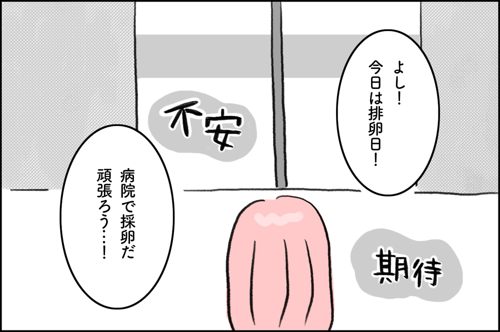 体外受精の結果連絡で一喜一憂…不安に押しつぶされる日々【4年間の不妊治療の記録〜私の願いと夫の気持ち〜 第9話】