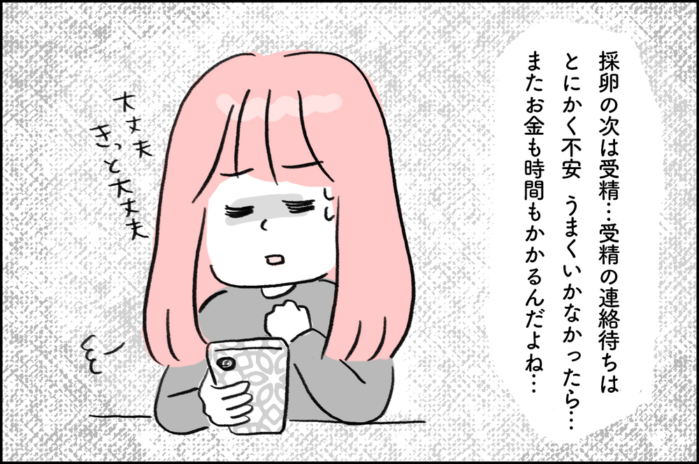 体外受精の結果連絡で一喜一憂…不安に押しつぶされる日々【4年間の不妊治療の記録〜私の願いと夫の気持ち〜 第9話】